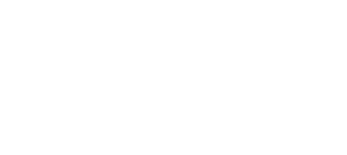 ONG acreditada Fundación Lealtad