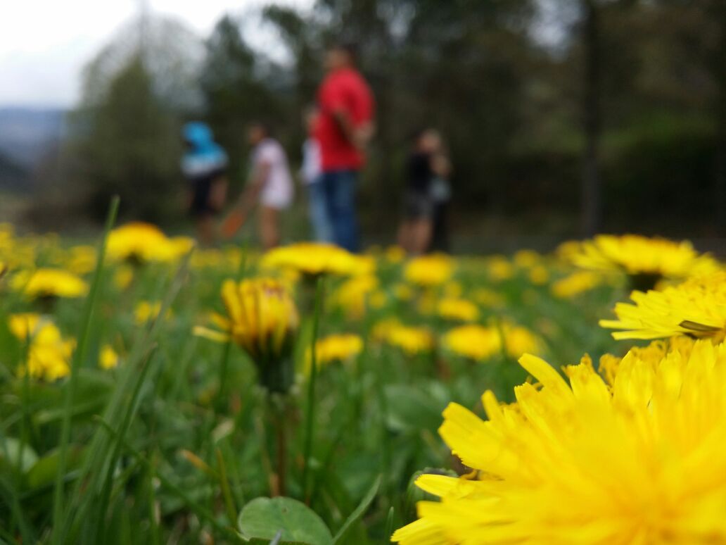 Fines de semana en la naturaleza