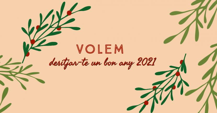 Els Gavines us desitgem un bon any 2021!