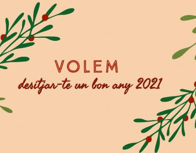 Els Gavines us desitgem un bon any 2021!