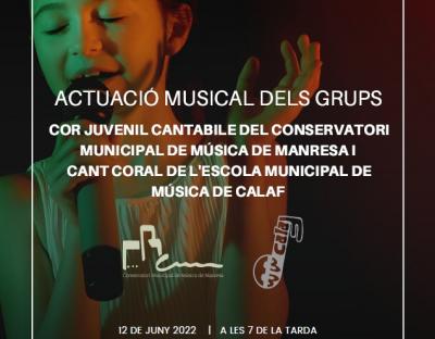 Cartell Concert Solidari Sant Pere Sallavinera